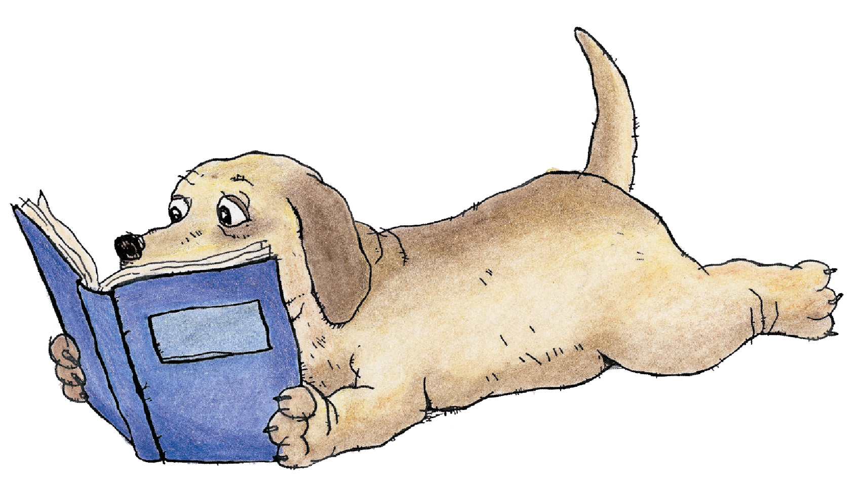 Read to a dog