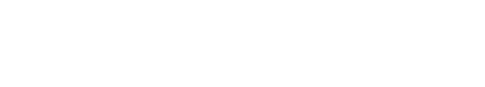 NSU logo image
